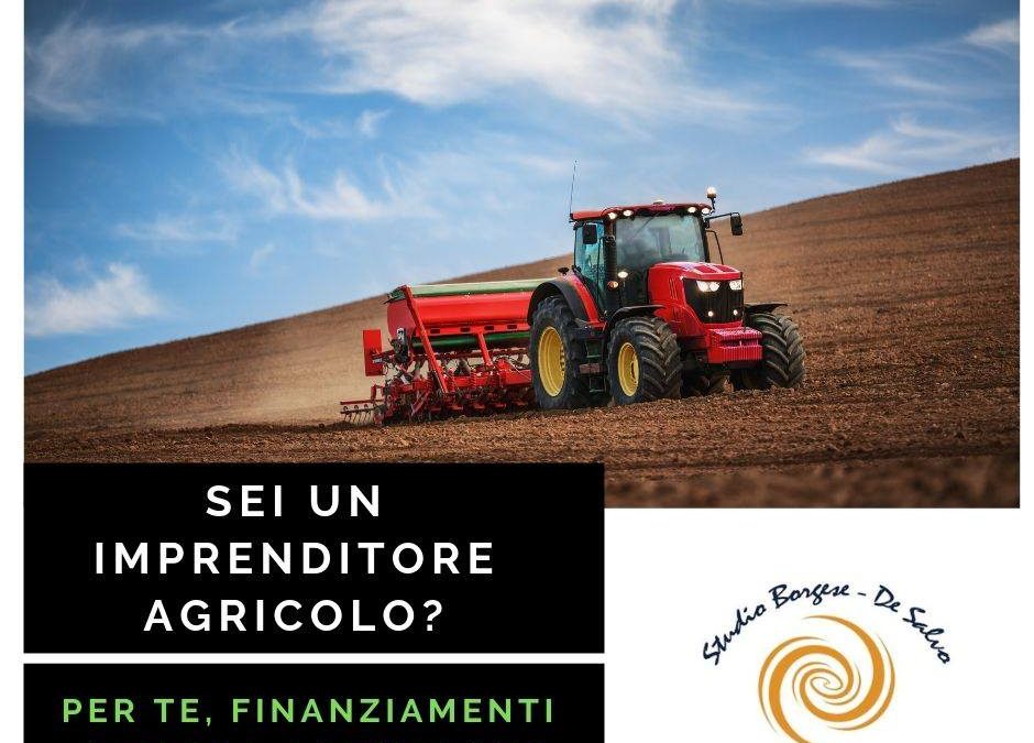 CONTRIBUTI TASSO AGEVOLATO E FONDO PERDUTO IN AGRICOLTURA